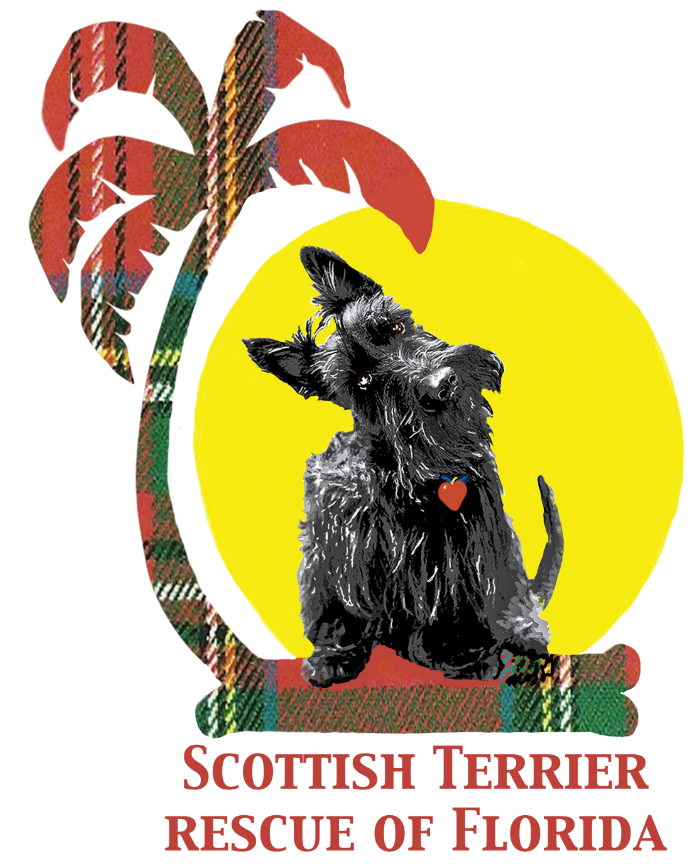 Scottish Terrier Rescue of Florida