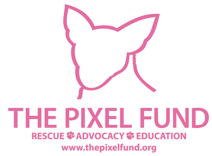 The Pixel Fund