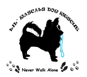 Lil' Rascals Dog Rescue