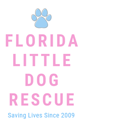 Florida Litttle Dog Rescue