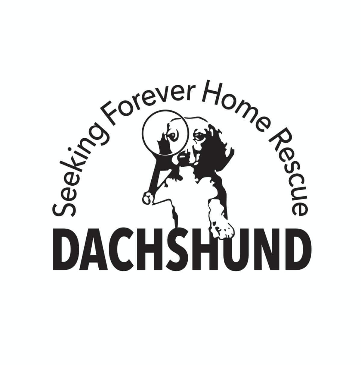 Dachshund Seeking Forever Home Rescue