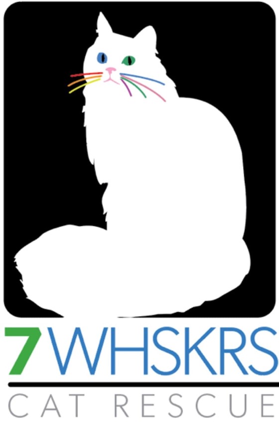 7WHSKRS Cat Rescue