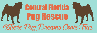 Central Florida Pug Rescue