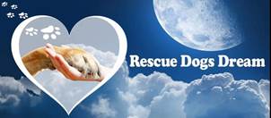 Rescue Dogs Dream